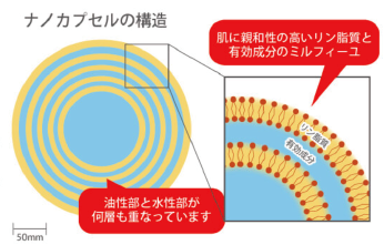 ナノカプセルとは